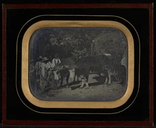 Bauern mit Ochsen und Wagen